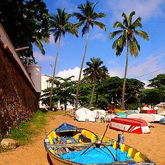 photo "Wainting to go to the sea"