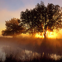 photo "Dawn Breaks Through"