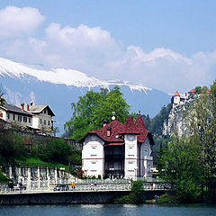 photo "Kind of coast of mountain lake Bled"