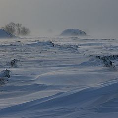 фото "Метель"