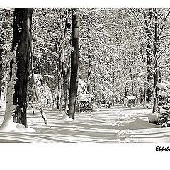 фото "winter im odenwald"