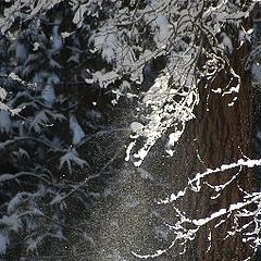 фотоальбом "snow, storm & after"