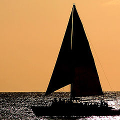 photo "Sailing"