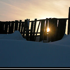 photo "fence"