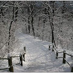 photo "Sunny Winter Day"