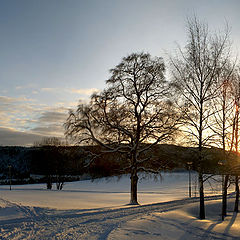 photo "Winter etude last day of 2003"