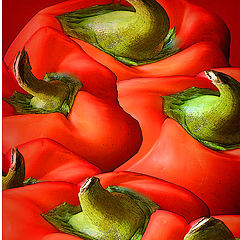 фото "Red Peppers"