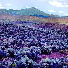 фото "Crystal Mountains"