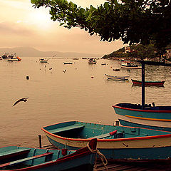 photo "Boats"