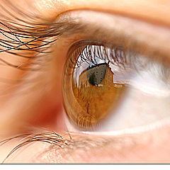 фото "- location in your eye -"