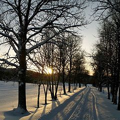 photo "Winter etude on Dragvoll"