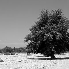 photo "*****"