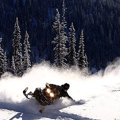 photo "Snowmobiling Series - 2"