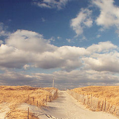 photo "Path To Nowhere"