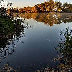 photo "Small harbour."