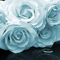photo "Blue Roses"