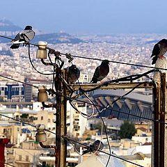 photo "Athens - bird`s nest view."