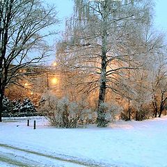 фото "Вечерок"