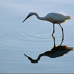 photo "Fishing"