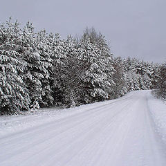 фото "Снежная зима"