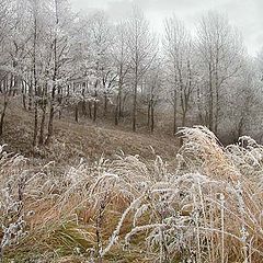 photo "Prelude of long winter"