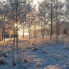 photo "Winter day"