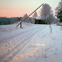 photo "Returning to the house..."