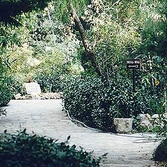 фото "Garden Tomb in Jerusalem"