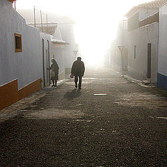 фото "early in the misty morning"