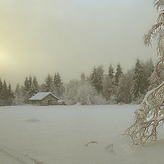 photo "In the forest on a marge lived winter in its house"