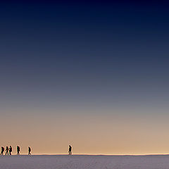 photo "Walking in the desert"