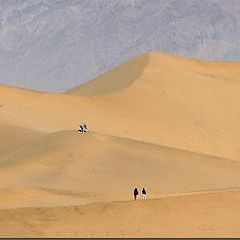 фото "Dunes from DeathValley"