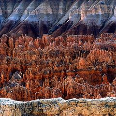 фото "Bryce Canyon"