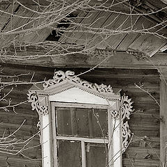 photo "The Window"