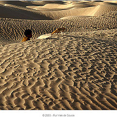 photo "sahara"