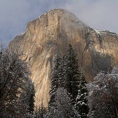 photo "the silent chief"