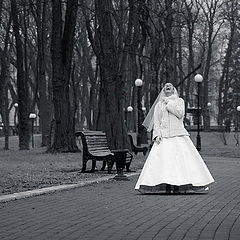 photo "Laughter of the bride"