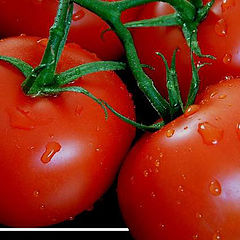 photo "Tomaten (2D / 3D)"