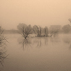 photo "Golden Morning"