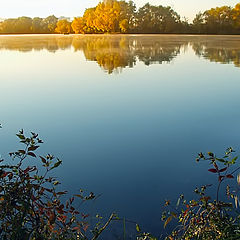 photo "Spilling paints..."