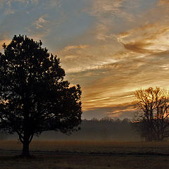 photo "Sunrise Sonatina"