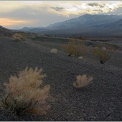 фото "Sunset @ the desert"