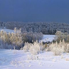 photo "Another side of the winter"