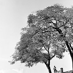 фото "The reader-Hue 2001"