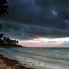 photo "Tropical morning"