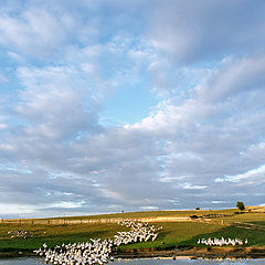 photo "Warmia"