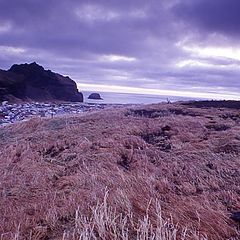 photo "Vestmann Islands, Islandia....."