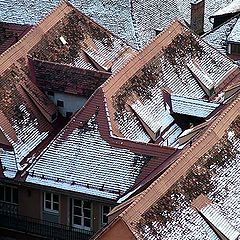 фото "first snow"