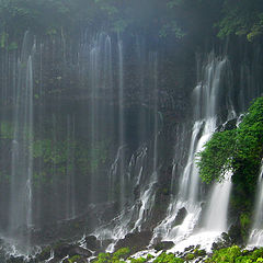 photo "Shiraito Falls V"