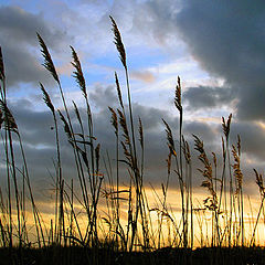 фото "Mid winter sunset"